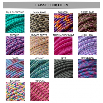 Laisse personnalisée 