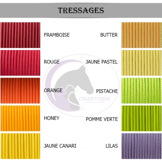 Laisse personnalisée 