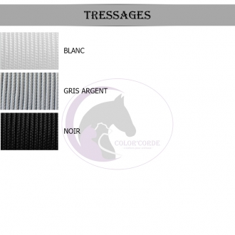 Laisse personnalisée 