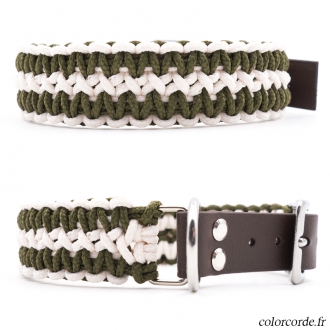 Collier chien personnalisé