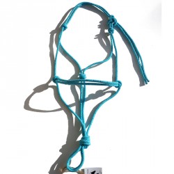 Licol  éthologique réfléchissant