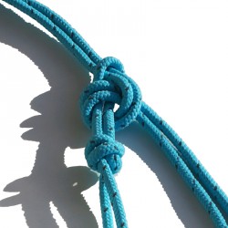 Licol  éthologique réfléchissant