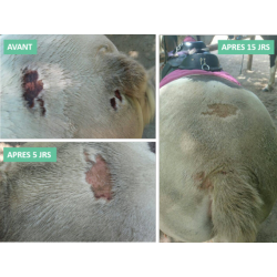 Baume Anti-Démangeaisons et Dermites - Ekin