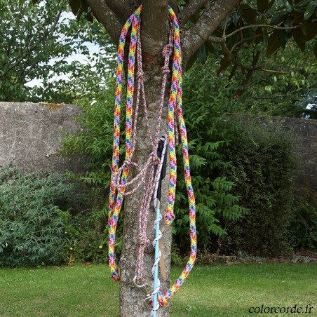 Kit de démarrage Equifeel