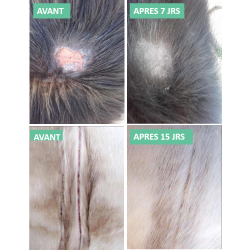 Spray réparateur cutané - Ekin