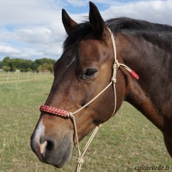Licol éthologique Fuchsia - taille poney